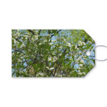 Branches of Dogwood Blossoms Spring Trees Gift Tags