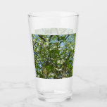 Branches of Dogwood Blossoms Spring Trees Glass