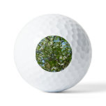 Branches of Dogwood Blossoms Spring Trees Golf Balls