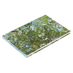 Branches of Dogwood Blossoms Spring Trees Guest Book