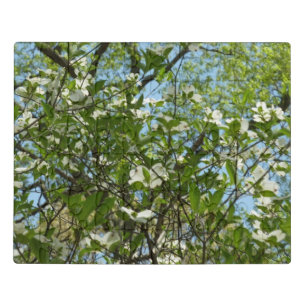 Branches of Dogwood Blossoms Spring Trees Jigsaw Puzzle