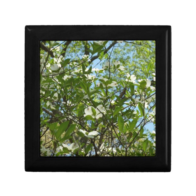 Branches of Dogwood Blossoms Spring Trees Keepsake Box (Front)