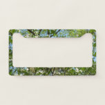Branches of Dogwood Blossoms Spring Trees License Plate Frame