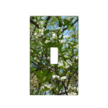 Branches of Dogwood Blossoms Spring Trees Light Switch Cover
