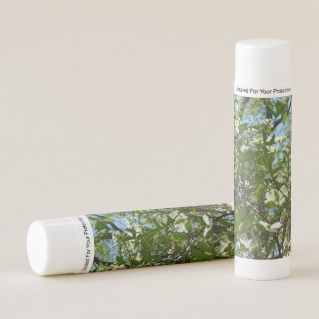 Branches of Dogwood Blossoms Spring Trees Lip Balm (Front)