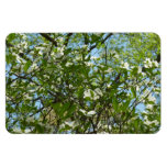 Branches of Dogwood Blossoms Spring Trees Magnet