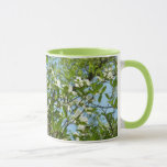 Branches of Dogwood Blossoms Spring Trees Mug