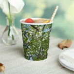Branches of Dogwood Blossoms Spring Trees Paper Cups