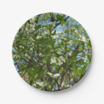 Branches of Dogwood Blossoms Spring Trees Paper Plate