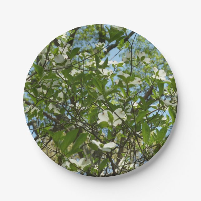 Branches of Dogwood Blossoms Spring Trees Paper Plates (Front)