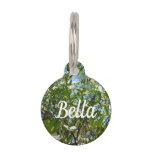 Branches of Dogwood Blossoms Spring Trees Pet ID Tag