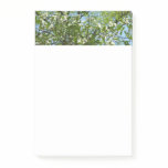 Branches of Dogwood Blossoms Spring Trees Post-it Notes