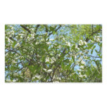 Branches of Dogwood Blossoms Spring Trees Rectangular Sticker