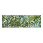 Branches of Dogwood Blossoms Spring Trees Ruler