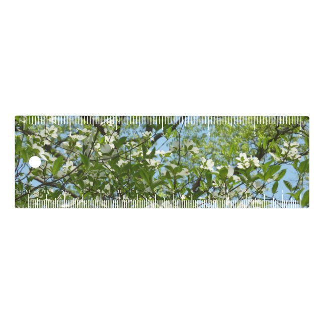 Branches of Dogwood Blossoms Spring Trees Ruler (Front)