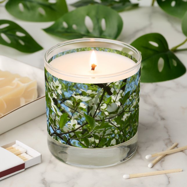 Branches of Dogwood Blossoms Spring Trees Scented Candle (Lit)