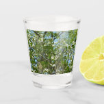 Branches of Dogwood Blossoms Spring Trees Shot Glass