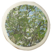 Branches of Dogwood Blossoms Spring Trees Sugar Cookie (Front)
