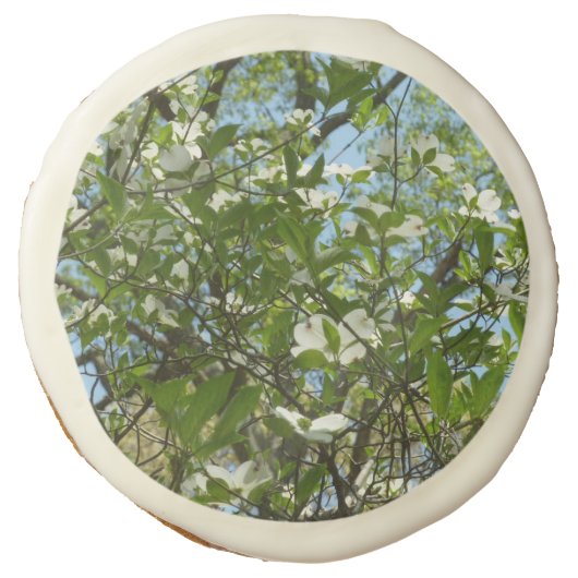 Branches of Dogwood Blossoms Spring Trees Sugar Cookie (Front)