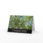Branches of Dogwood Blossoms Spring Trees Thank You Card