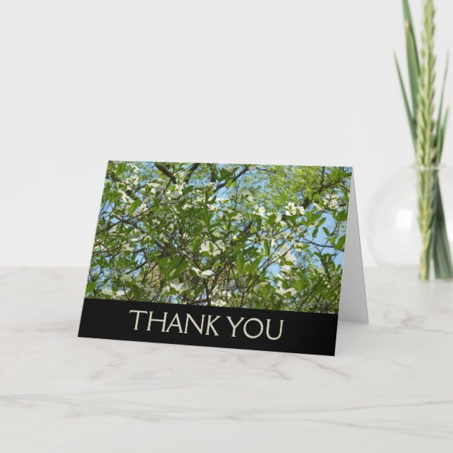 Branches of Dogwood Blossoms Spring Trees Thank You Card (Front)