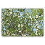 Branches of Dogwood Blossoms Spring Trees Tissue Paper