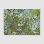 Branches of Dogwood Blossoms Spring Trees Tissue Paper