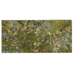 Branches of Dogwood Blossoms Spring Trees Wood Flash Drive
