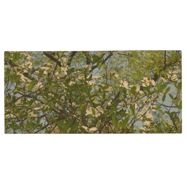 Branches of Dogwood Blossoms Spring Trees Wood Flash Drive (Front)