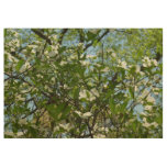 Branches of Dogwood Blossoms Spring Trees Wood Poster