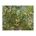 Branches of Dogwood Blossoms Spring Trees Wood Wall Decor