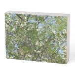 Branches of Dogwood Blossoms Spring Trees Wooden Box Sign