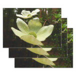 Branches of Dogwood Blossoms Spring Trees Wrapping Paper Sheets