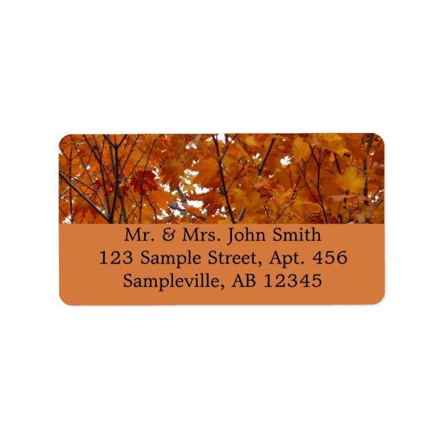 Branches of Maple Leaves I Orange Autumn Label (Front)