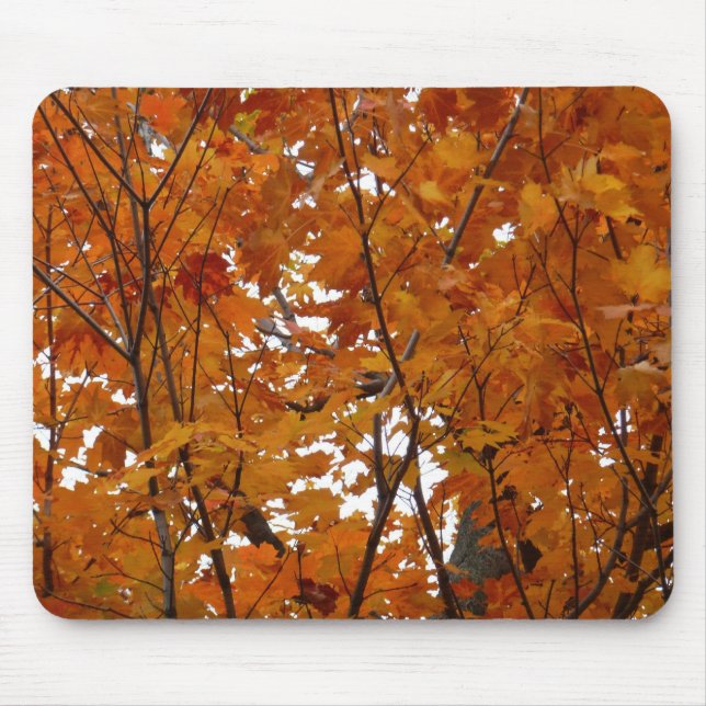 Branches of Maple Leaves I Orange Autumn Mouse Pad (Front)