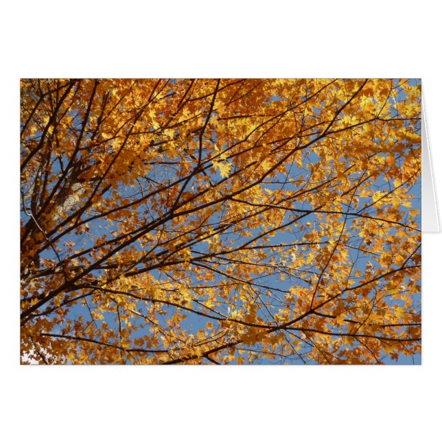 Branches of Maple Leaves II Orange Autumn Cards (Front Horizontal)
