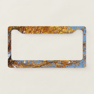 Branches of Maple Leaves II Orange Autumn License Plate Frame