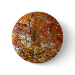 Branches of Orange Leaves Autumn Nature Button