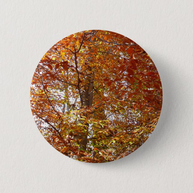 Branches of Orange Leaves Autumn Nature Button (Front)