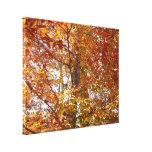 Branches of Orange Leaves Autumn Nature Canvas Print
