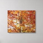 Branches of Orange Leaves Autumn Nature Canvas Print