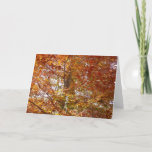 Branches of Orange Leaves Autumn Nature Card