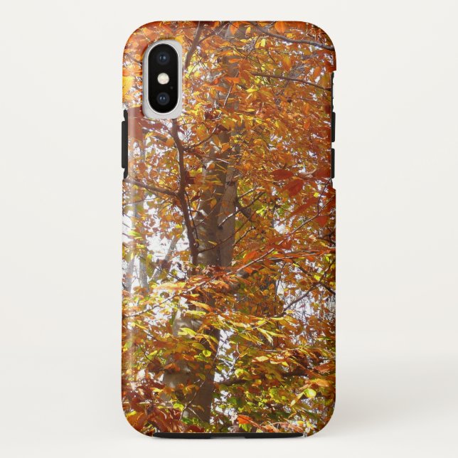 Branches of Orange Leaves Autumn Nature Case-Mate iPhone Case (Back)