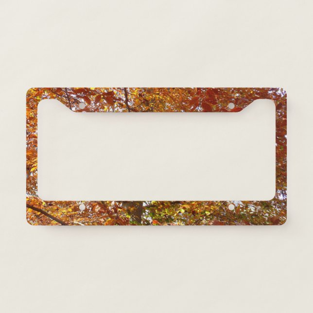 Branches of Orange Leaves Autumn Nature License Plate Frame (Front)