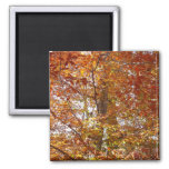 Branches of Orange Leaves Autumn Nature Magnet