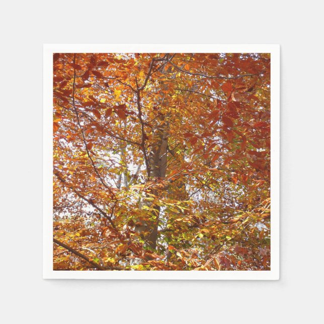 Branches of Orange Leaves Autumn Nature Paper Napkins (Front)