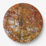 Branches of Orange Leaves Autumn Nature Paper Plates