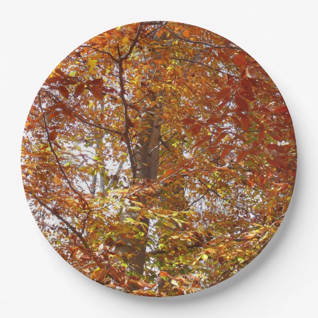 Branches of Orange Leaves Autumn Nature Paper Plates (Front)
