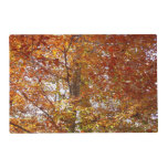 Branches of Orange Leaves Autumn Nature Placemat