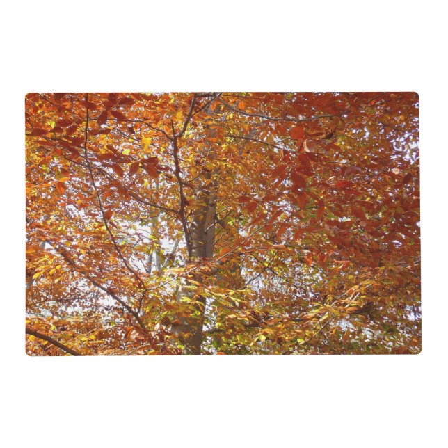 Branches of Orange Leaves Autumn Nature Placemat (Front)